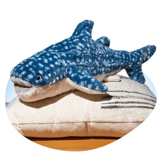 Track a Real Whale Shark - The Quest Plush