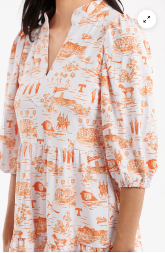 The Tory Dress - Tennessee Toile Available XS-XL